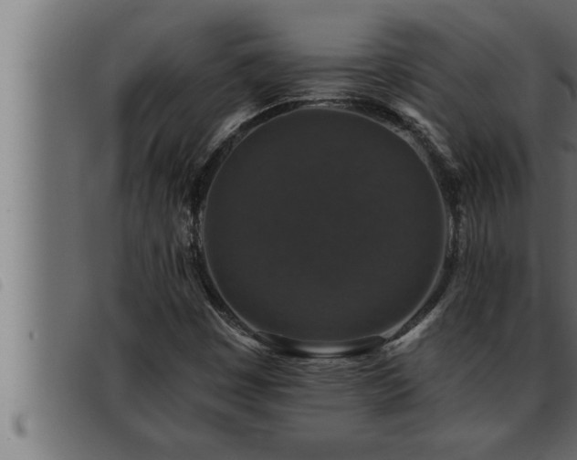 X0000093491449200710121457