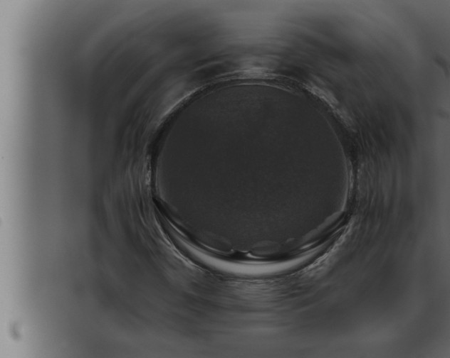 X0000093491450200710121456