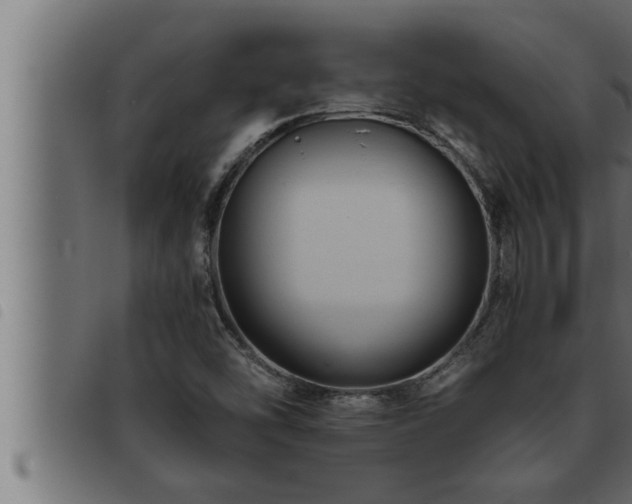 X0000093491454200710121456