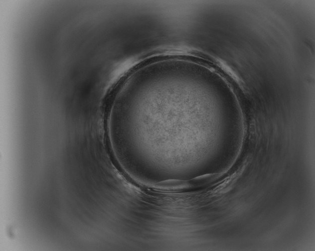 X0000093491456200710121456