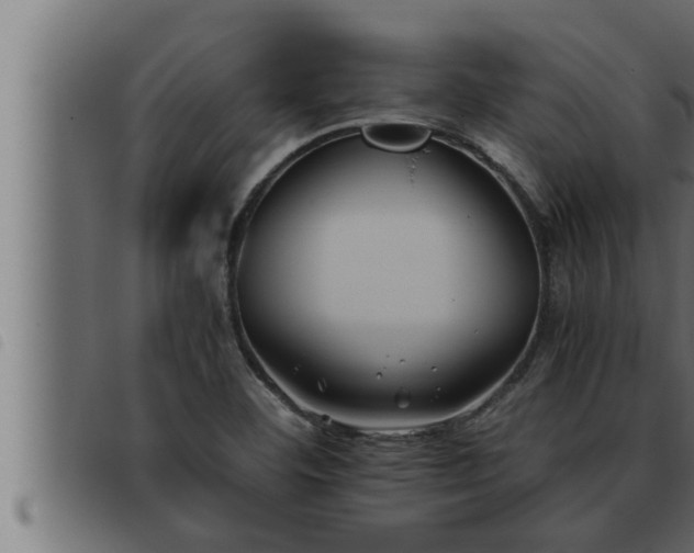 X0000093491460200710121456