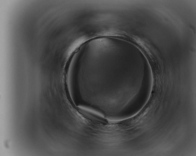 X0000093491463200710121456