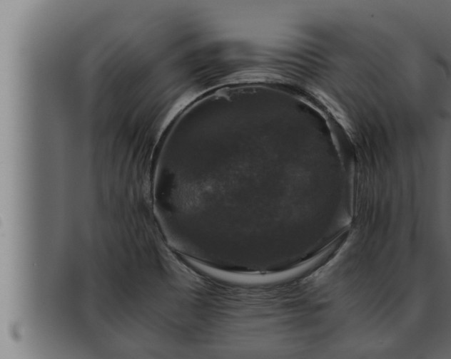 X0000093491465200710121456