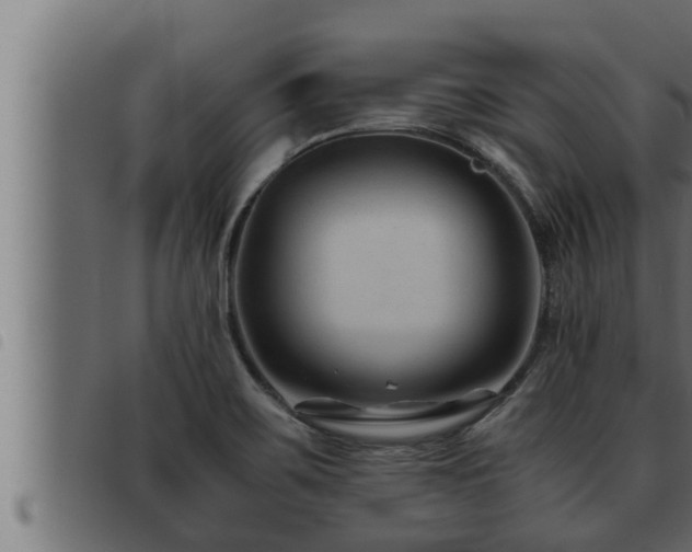 X0000093491467200710121456