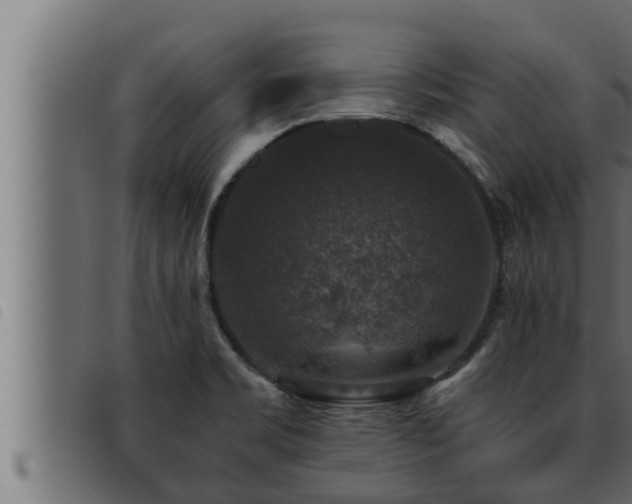 X0000093491469200710121456