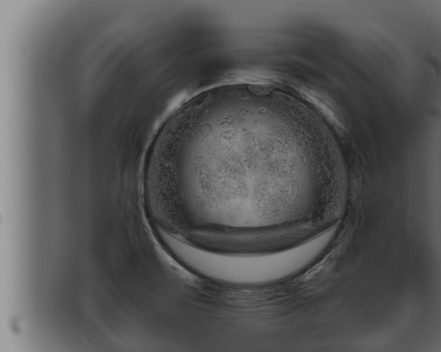 X0000093491471200710121456