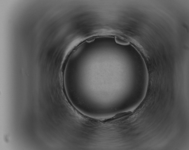 X0000093491472200710121456