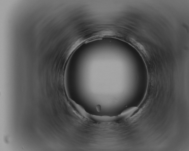 X0000093491473200710121456