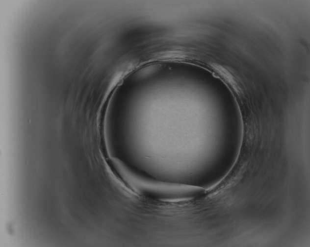 X0000093491475200710121456