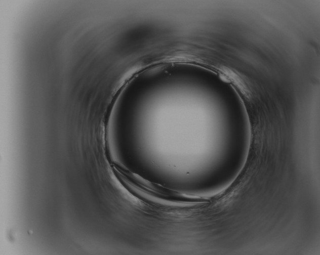 X0000093491476200710121456