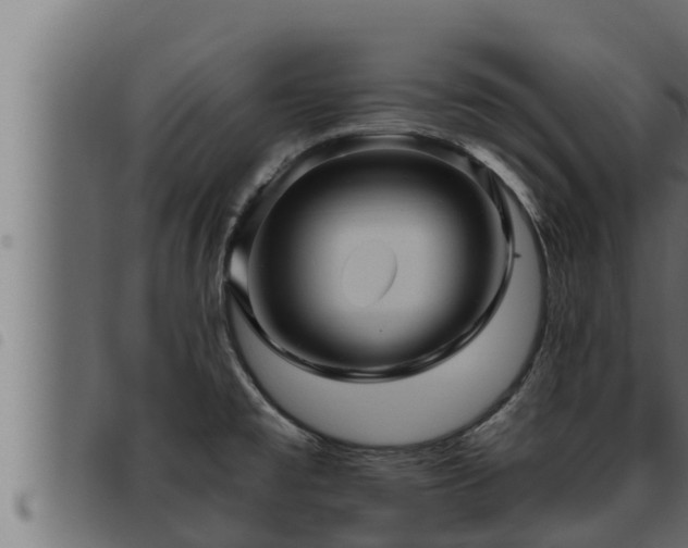 X0000093491477200710121456