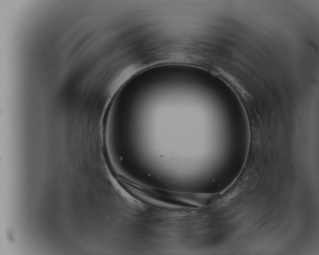 X0000093491479200710121456