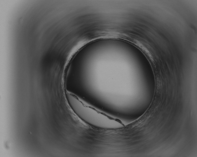 X0000093491480200710121456