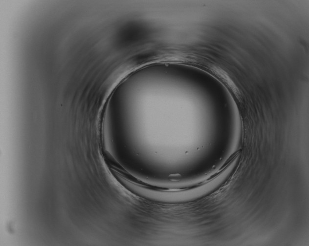 X0000093491483200710121456