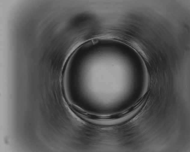 X0000093491484200710121456