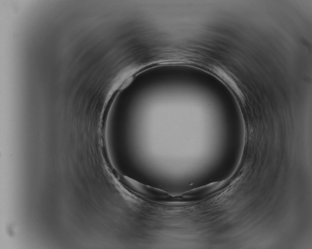 X0000093491485200710121456