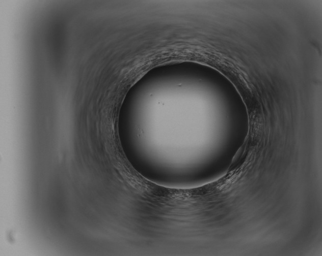 X0000093491489200710121455