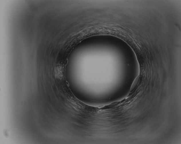 X0000093491490200710121455