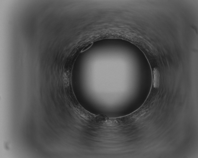 X0000093491491200710121455