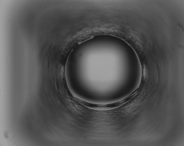 X0000093491492200710121455