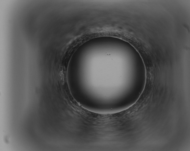 X0000093491493200710121455