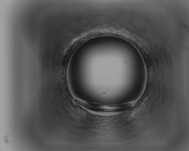 X0000093491494200710121455