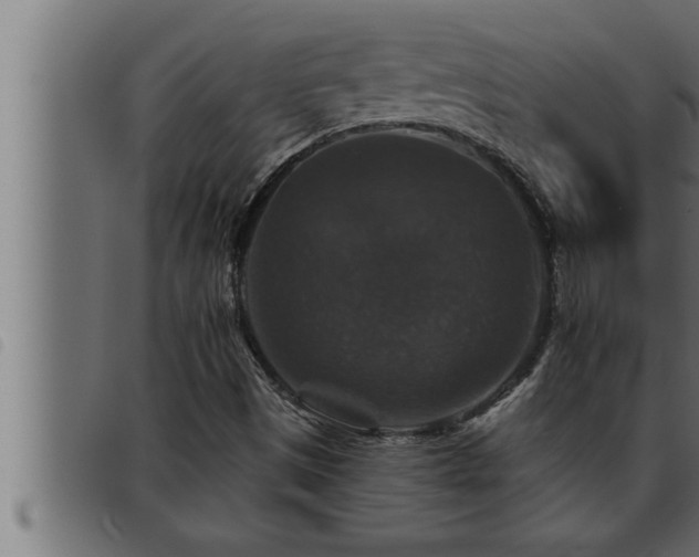 X0000093491497200710121455