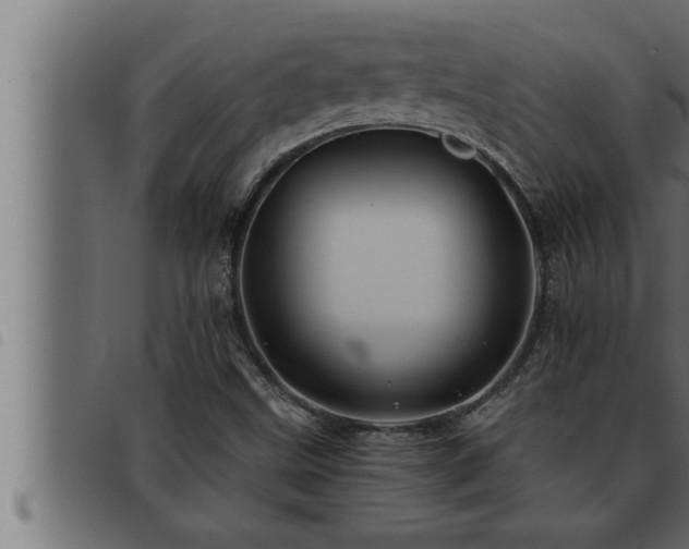 X0000093491499200710121455