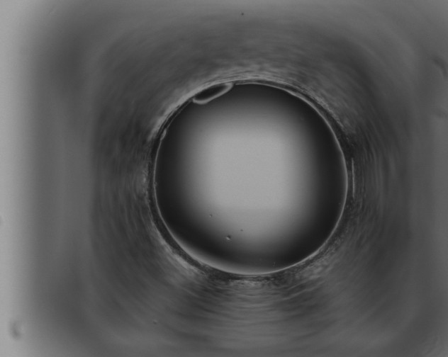 X0000093491500200710121455