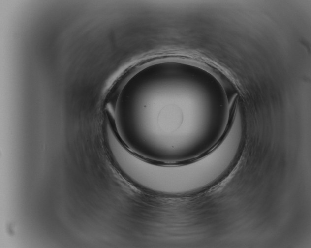X0000093491502200710121456