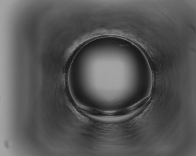 X0000093491503200710121456
