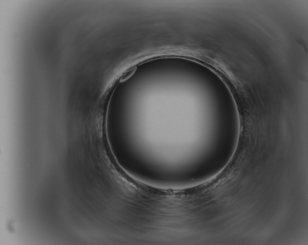 X0000093491504200710121456