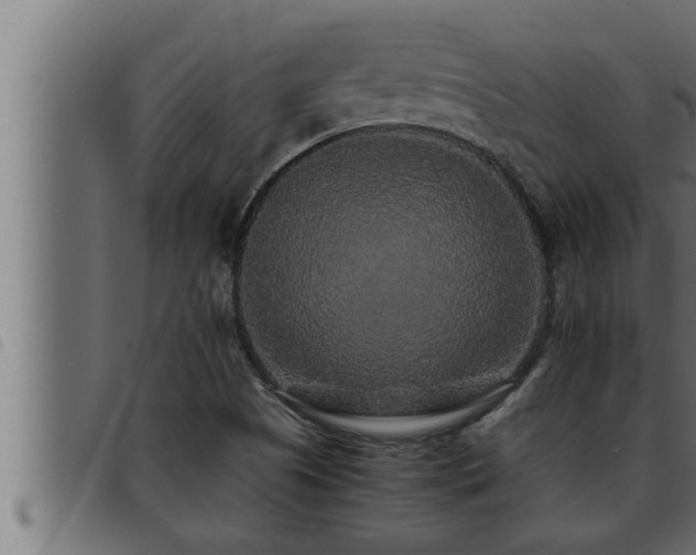 X0000093491505200710121456