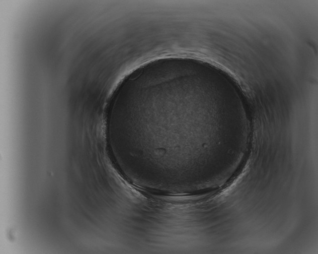X0000093491506200710121456