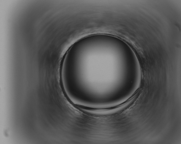 X0000093491512200710121456