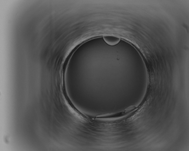 X0000093491515200710121456