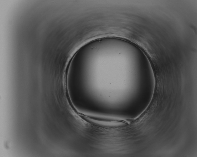 X0000093491516200710121456