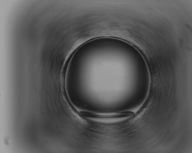 X0000093491517200710121456