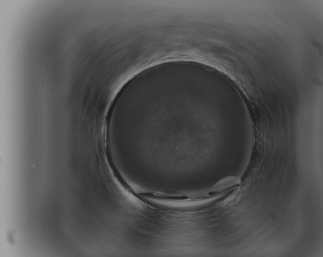 X0000093491519200710121456