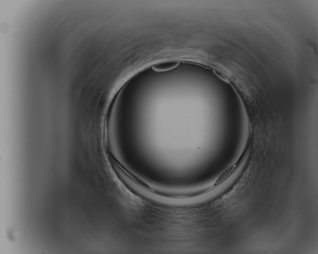 X0000093491520200710121456