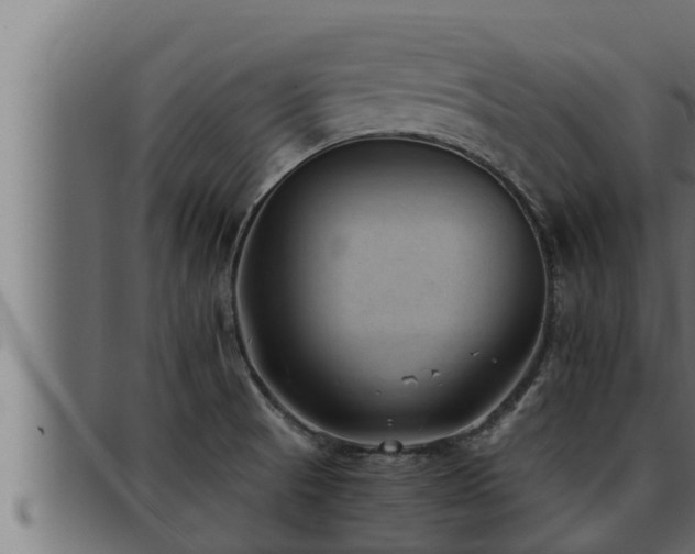 X0000093491521200710121456