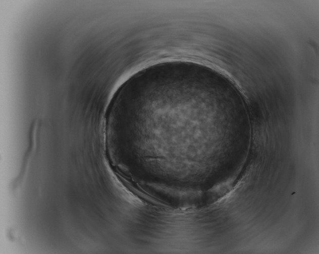 X0000093491522200710121456