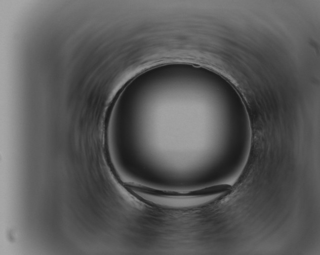 X0000093491523200710121456