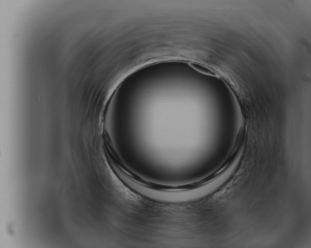X0000093491524200710121456