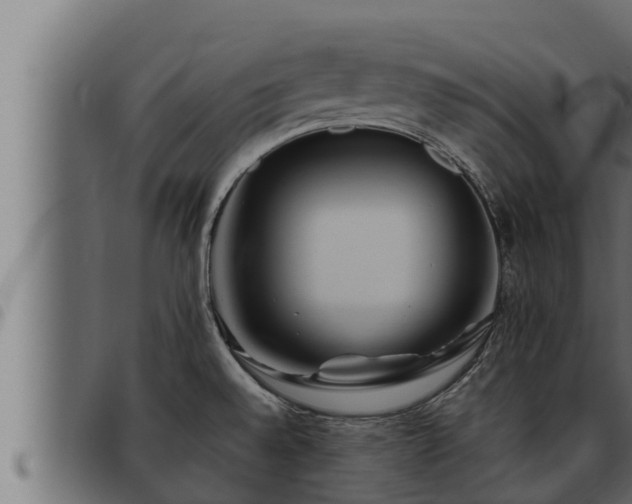X0000093491528200710121456