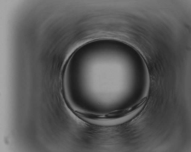 X0000093491531200710121456