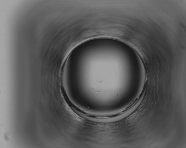 X0000093491532200710121456