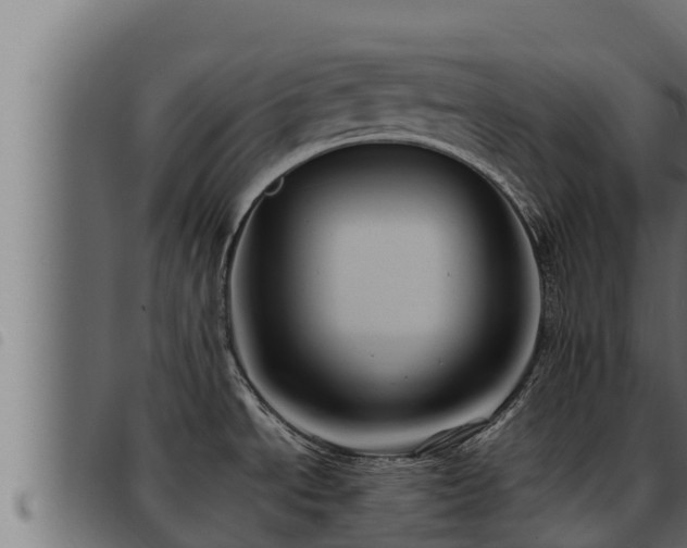 X0000093491534200710121456