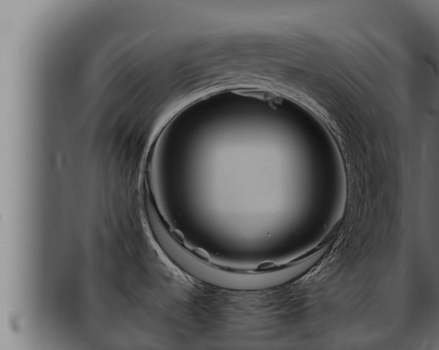 X0000093491536200710121456