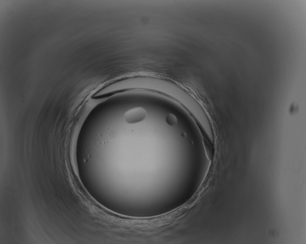 X0000093490001200710191237